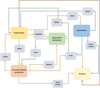 A qualitative approach for a situation analysis of AMR risks in the food animal production sector